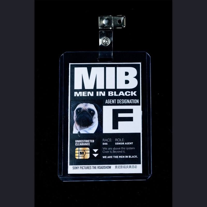 Infinity Studio - Frank – Man in Black 2