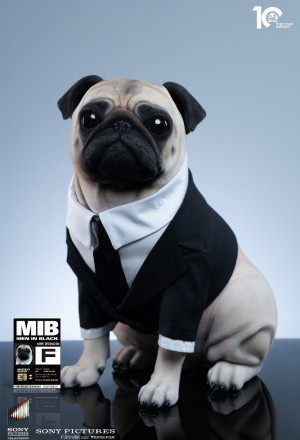 Infinity Studio - Frank – Man in Black 2