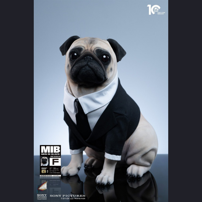 Infinity Studio - Frank – Man in Black 2