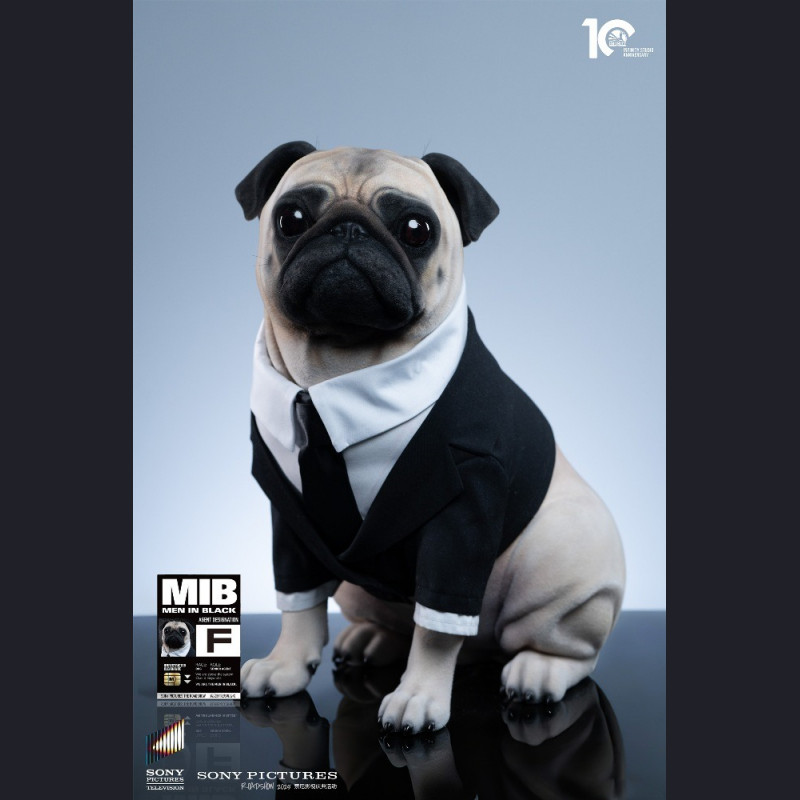 Infinity Studio - Frank – Man in Black 2