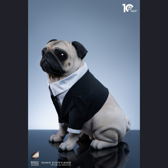 Infinity Studio - Frank – Man in Black 2