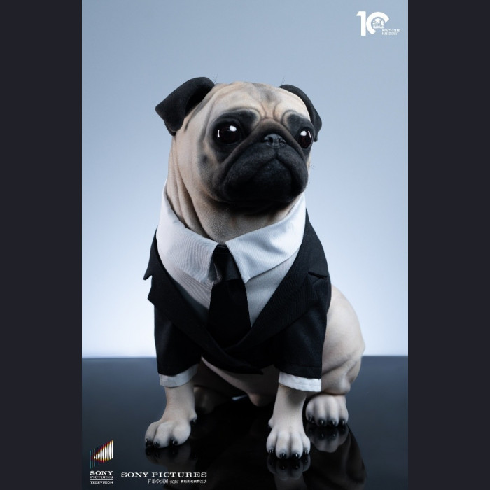 Infinity Studio - Frank – Man in Black 2