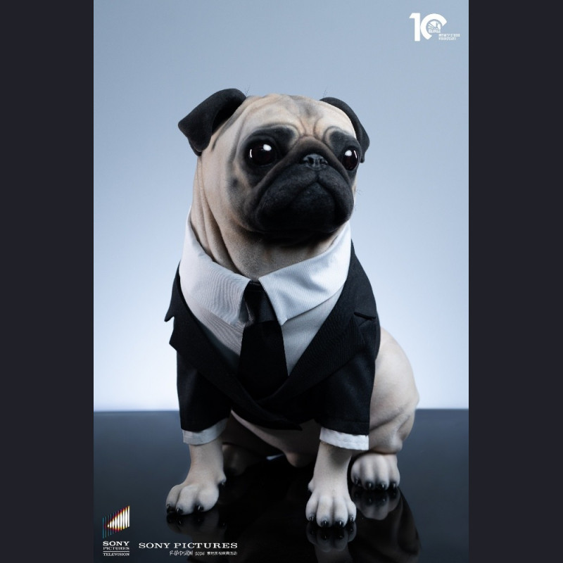 Infinity Studio - Frank – Man in Black 2