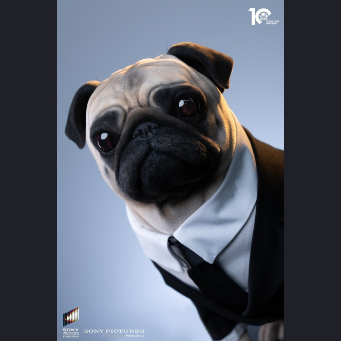 Infinity Studio - Frank – Man in Black 2