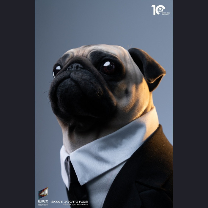 Infinity Studio - Frank – Man in Black 2