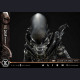 Prime 1 Studio - Original Xenomorph - Alien (1979)