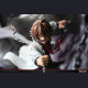 Grey Matter Studio - Tatsumi&Incursio (Demon Armor) - Akame ga Kill!