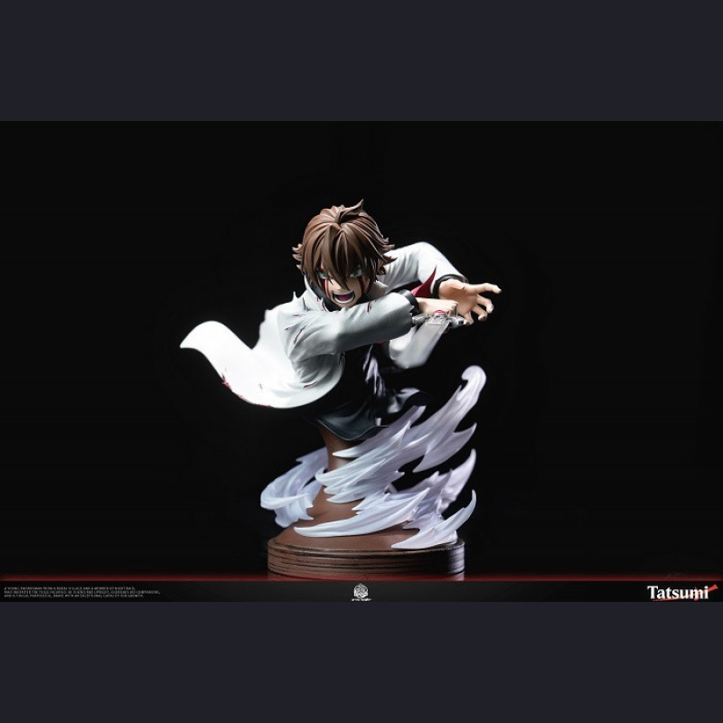 Grey Matter Studio - Tatsumi&Incursio (Demon Armor) - Akame ga Kill!