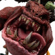 WETA Workshop - Boingrot Bounder - Warhammer Age of Sigmar