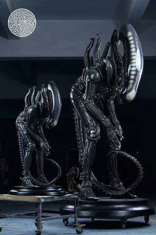 REBORN STUDIO - Bow Alien (Big Chap)