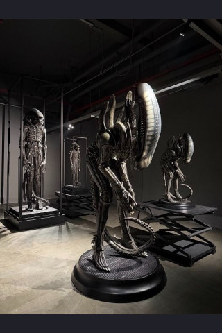 REBORN STUDIO - Bow Alien (Big Chap)