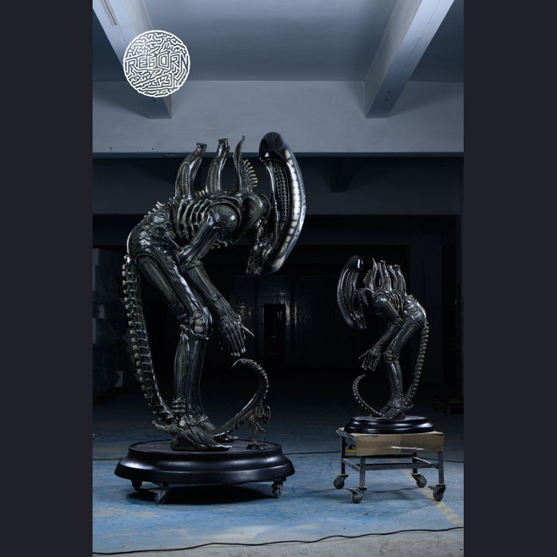 REBORN STUDIO - Bow Alien (Big Chap)