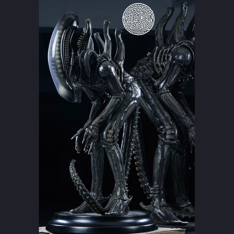 REBORN STUDIO - Bow Alien (Big Chap)