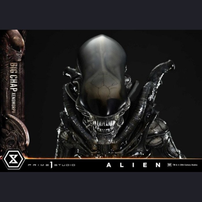 Prime 1 Studio - Xenomorph - Alien (1979) 