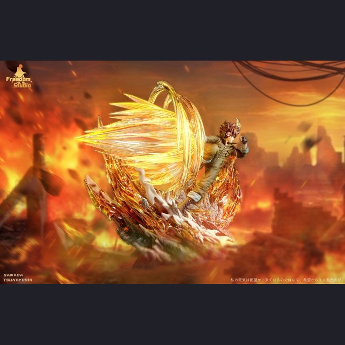 Freedom Studio - Tsunayoshi Sawada (X BURNER) - HITMAN REBORN!