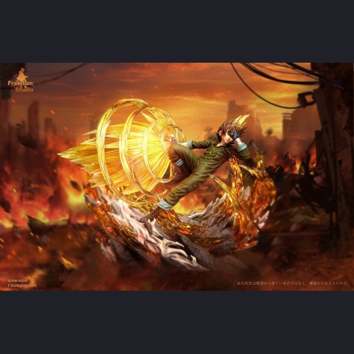 Freedom Studio - Tsunayoshi Sawada (X BURNER) - HITMAN REBORN!