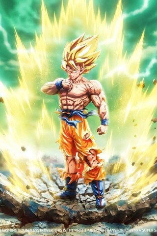 SaniyahForge Studio - Son Goku - Dragon Ball