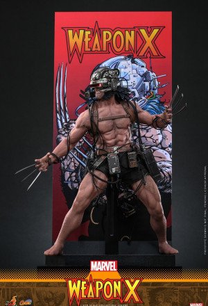 Hot Toys - Logan / Weapon X Wolverine - Marvel Comics