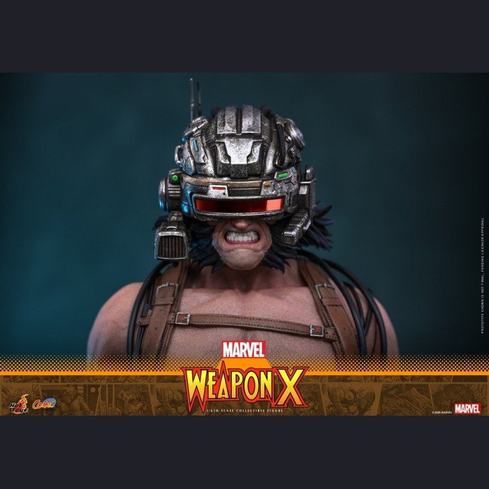 Hot Toys - Logan / Weapon X Wolverine - Marvel Comics