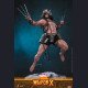 Hot Toys - Logan / Weapon X Wolverine - Marvel Comics