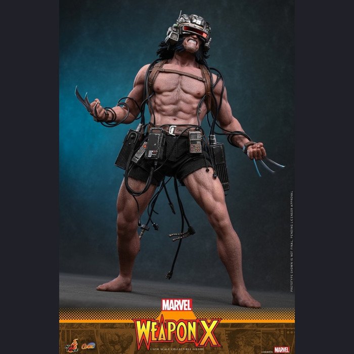 Hot Toys - Logan / Weapon X Wolverine - Marvel Comics