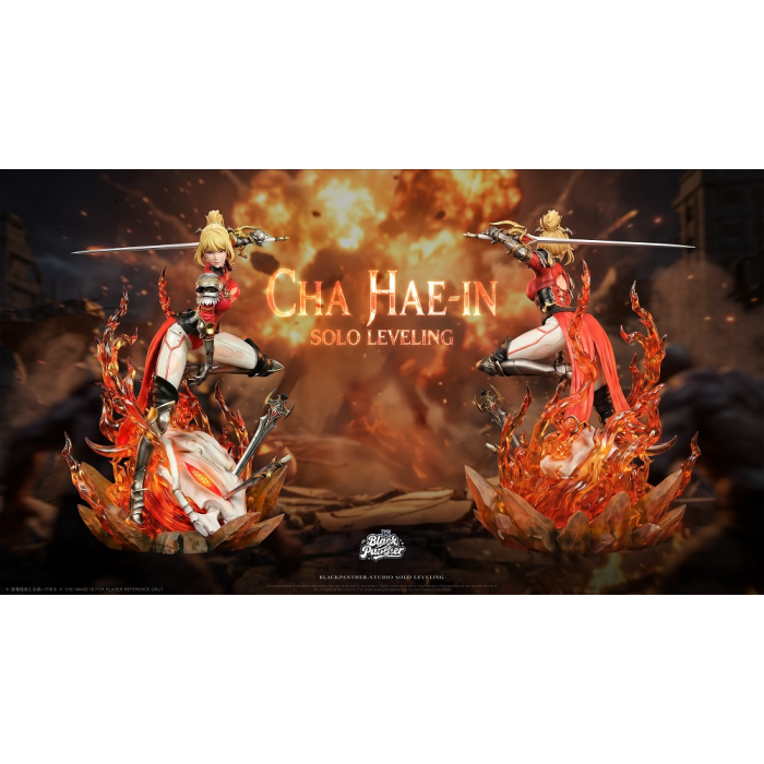 Black Panther Studio - Sung Jin-Woo&Cha Hae-In - Solo Leveling