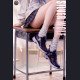 Maiden House - Silver Wolf - School Daily Ver