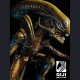 QiJi-Studio - Xenomorph - Alien