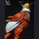LD Studio - Agumon - Digimon