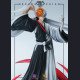 WoYo Studio & Model Power Studio - Ichigo Kurosaki - Bleach