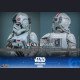 Hot Toys - mperial Remnant AT-AT Driver - The Mandalorian