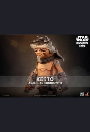 Hot Toys - Keto Anzel, Droid Specialist - The Mandalorian