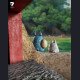 Seven Studio - Totoro - My Neighbor Totoro