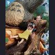 Seven Studio - Totoro - My Neighbor Totoro