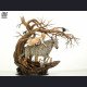 Bard Studio - Miquella (Child Form) - Elden Ring