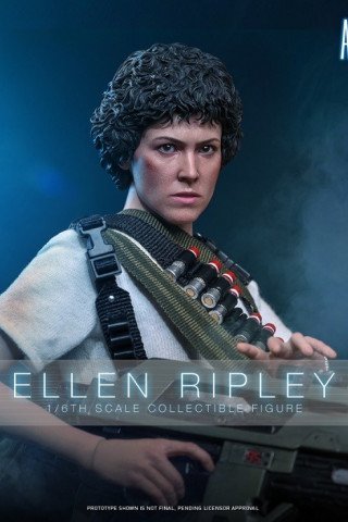 Hot Toys - Ellen Ripley - Aliens