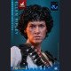 Hot Toys - Ellen Ripley - Aliens
