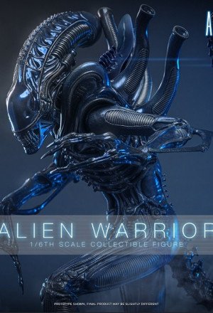 Hot Toys - Xenomorph Warrior - Aliens (40th Anniversary) 