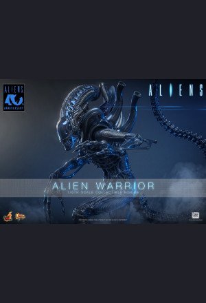 Hot Toys - Xenomorph Warrior - Aliens (40th Anniversary) 