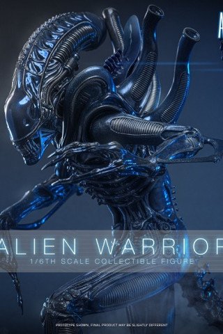 Hot Toys - Xenomorph Warrior - Aliens (40th Anniversary) 