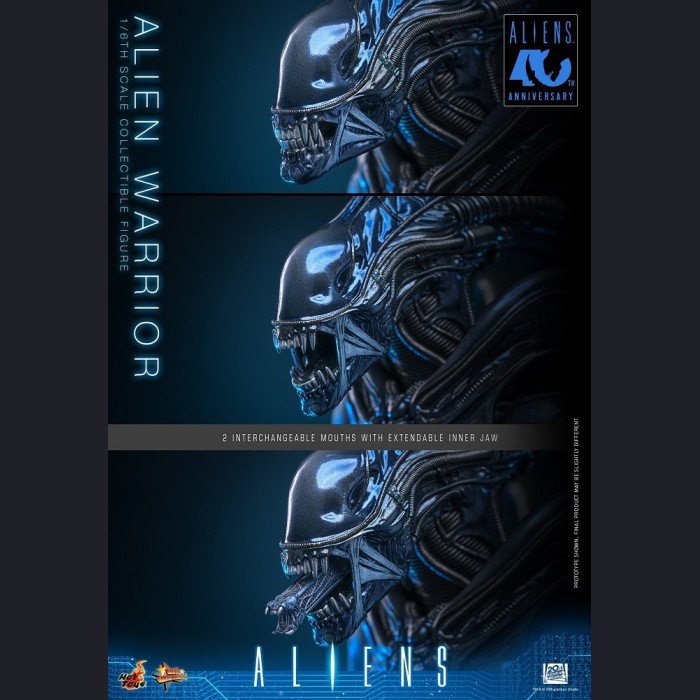 Hot Toys - Xenomorph Warrior - Aliens (40th Anniversary) 