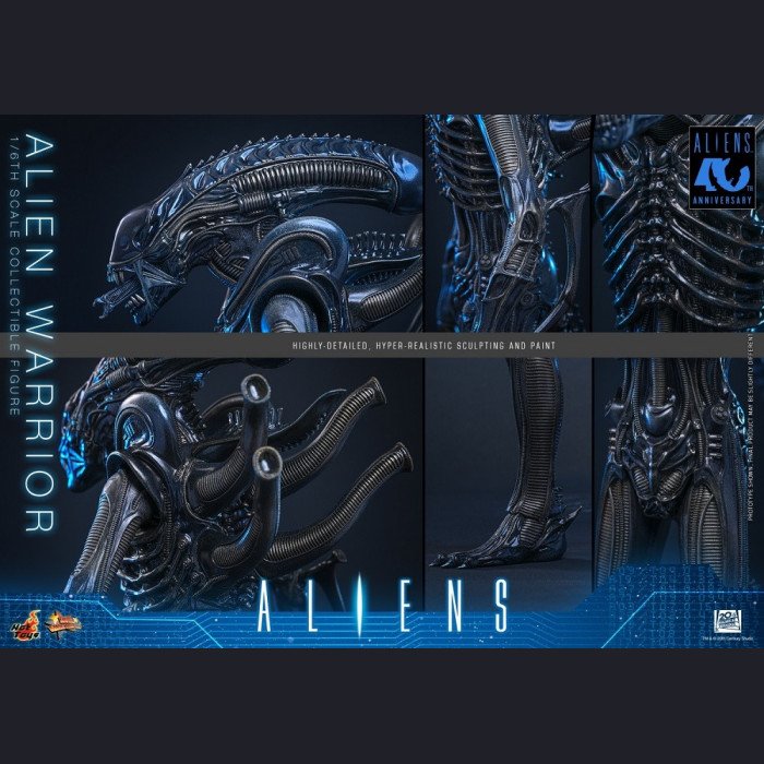 Hot Toys - Xenomorph Warrior - Aliens (40th Anniversary) 