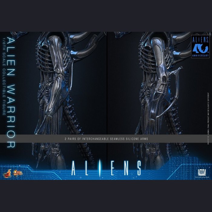 Hot Toys - Xenomorph Warrior - Aliens (40th Anniversary) 