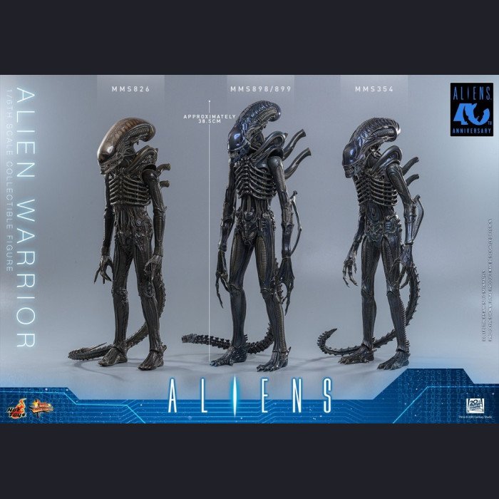 Hot Toys - Xenomorph Warrior - Aliens (40th Anniversary) 