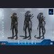 Hot Toys - Xenomorph Warrior - Aliens (40th Anniversary) 