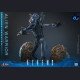 Hot Toys - Xenomorph Warrior - Aliens (40th Anniversary) 