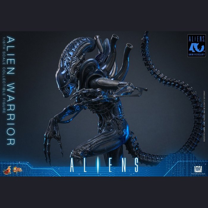 Hot Toys - Xenomorph Warrior - Aliens (40th Anniversary) 