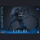 Hot Toys - Xenomorph Warrior - Aliens (40th Anniversary) 