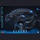 Hot Toys - Xenomorph Warrior - Aliens (40th Anniversary) 