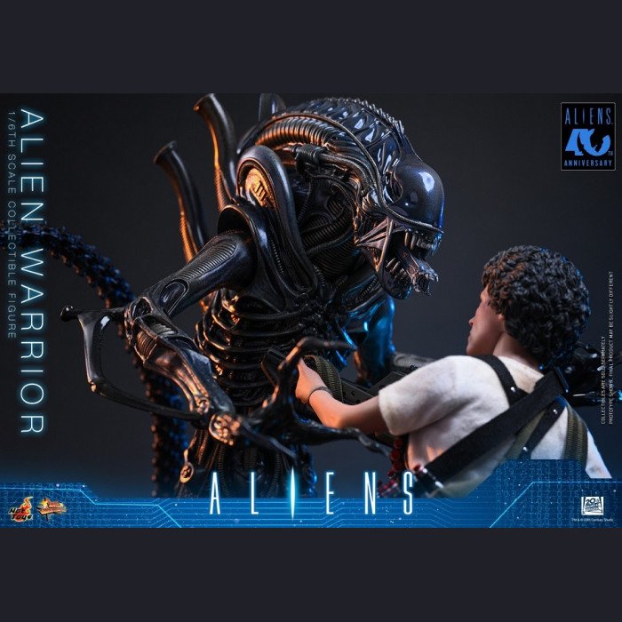 Hot Toys - Xenomorph Warrior - Aliens (40th Anniversary) 